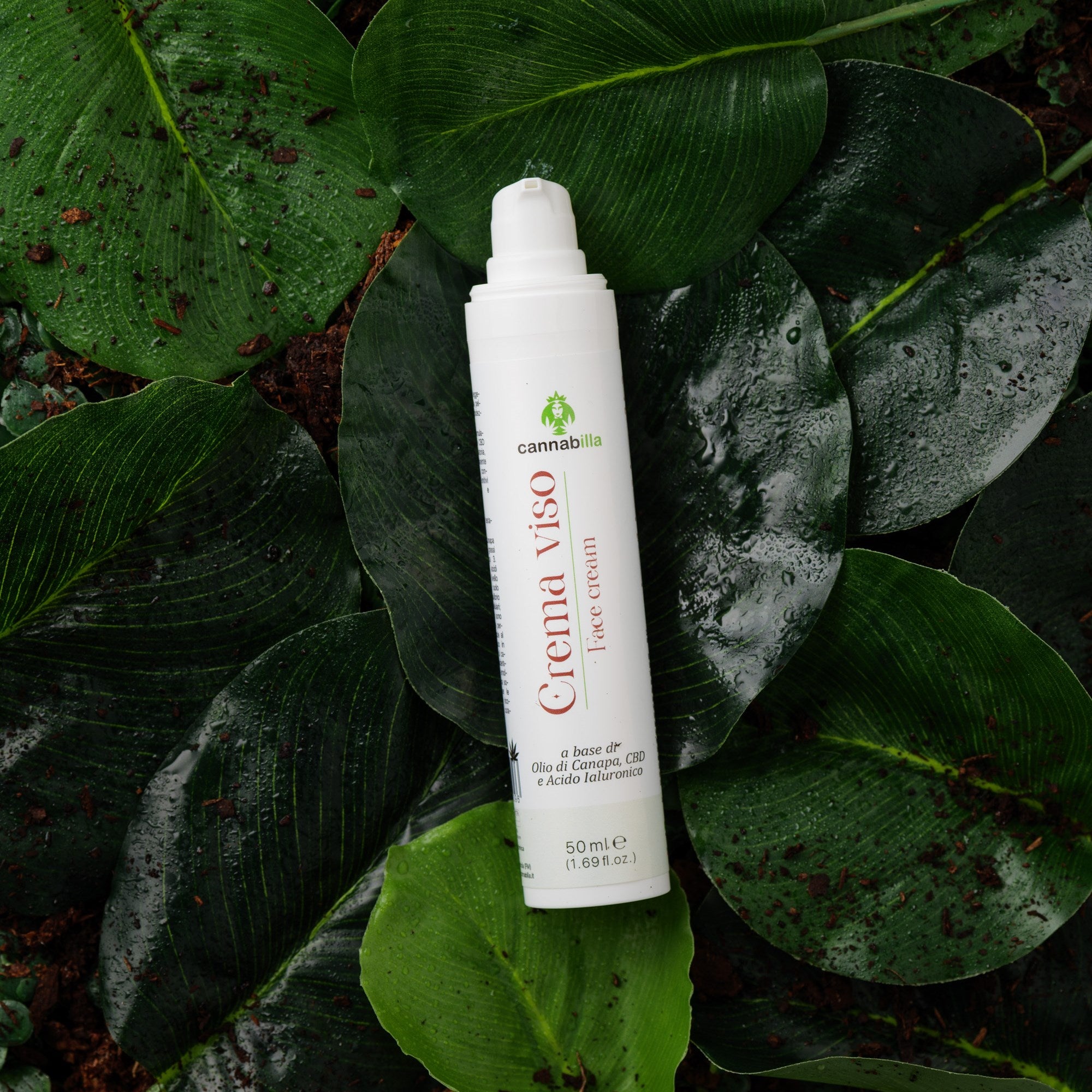 Crema Viso alla Canapa e CBD (50ml)