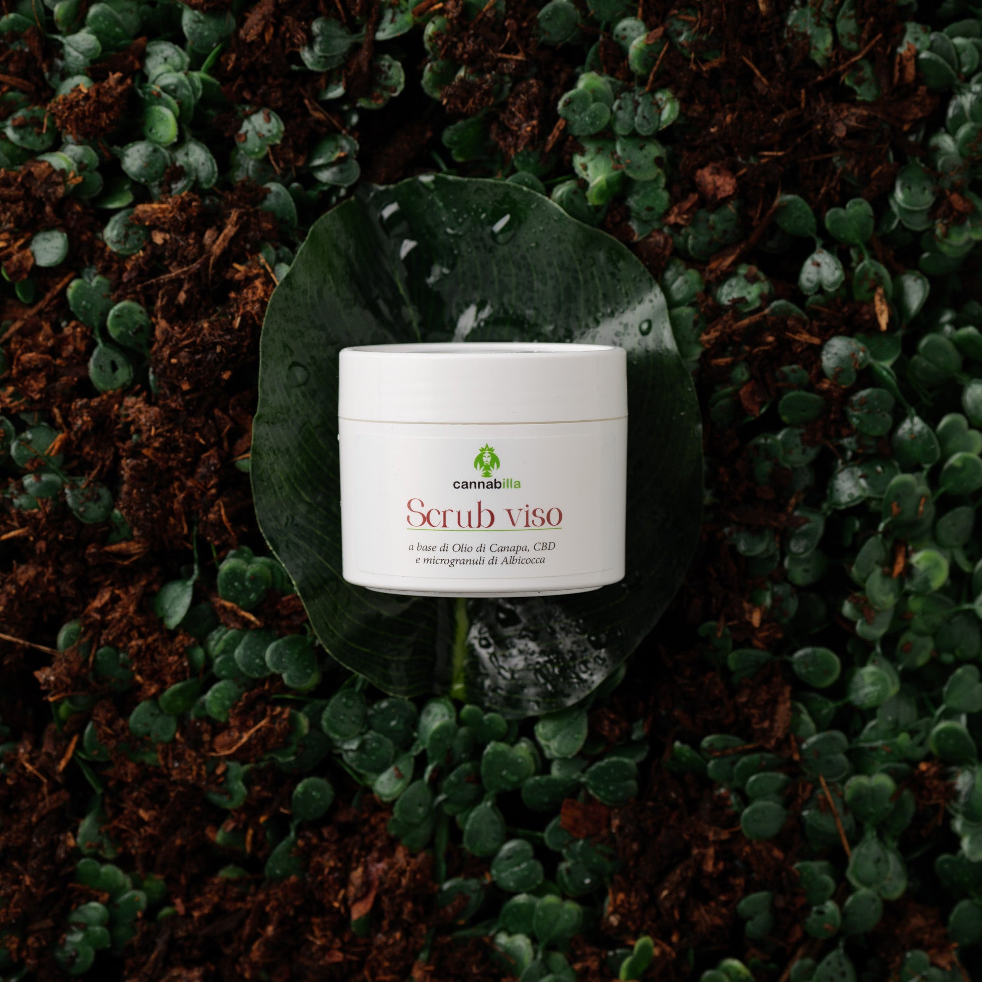 Scrub Viso Canapa & CBD (50ml)